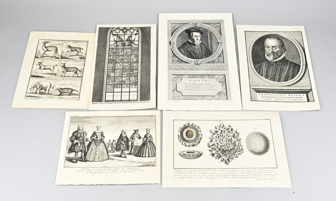 Lot of engravings (6x): Six various antique engravings. 17th - 18th Century. 1x Portrait Martyr Adr. van der Werff pinx. 1x Engraving about hailstones in 1773. 1x Engraving African animals, N. parr Sculp. 1x Engraving