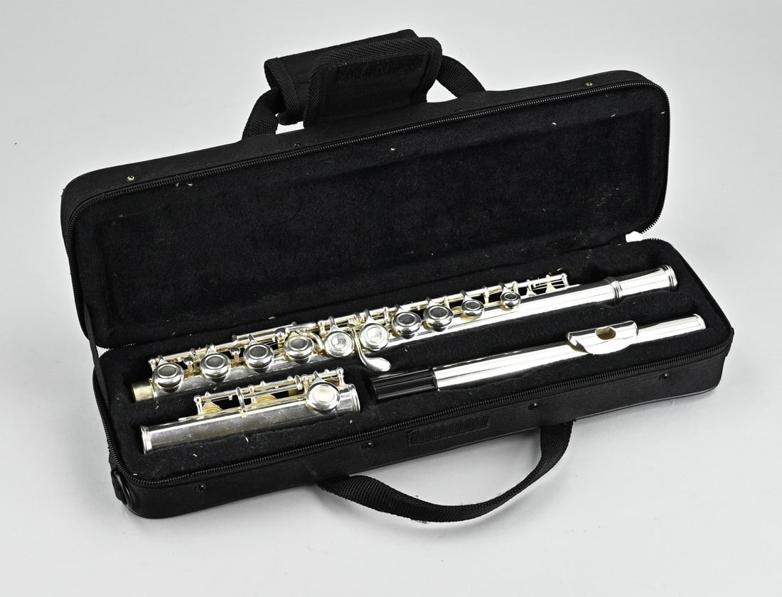 Eastman flute + carrying case: Eastman flute. Model EFL 220-0, with carrying case. Silver plated. Second half 20th century. Dimensions: 9 x 39 x 11 cm. In good condition.