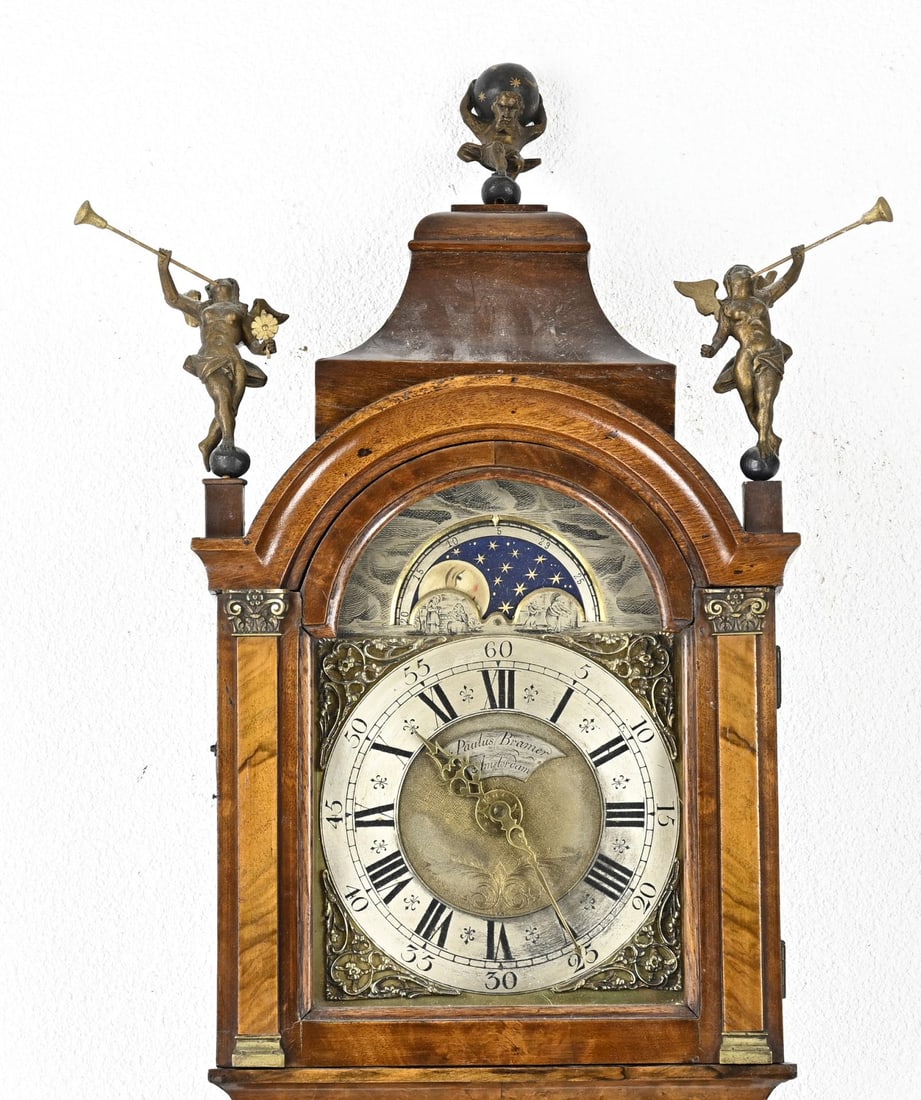 Amsterdam shorttail - 2