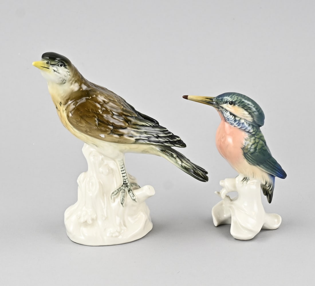 2x Image (bird): Two antique German porcelain birds. 1x Kingfisher, ENS, good. 1x Thrush, Volkstedt Thuringia, beak glued. Dimensions: 12 and 17.5 cm H. In fair/good condition.