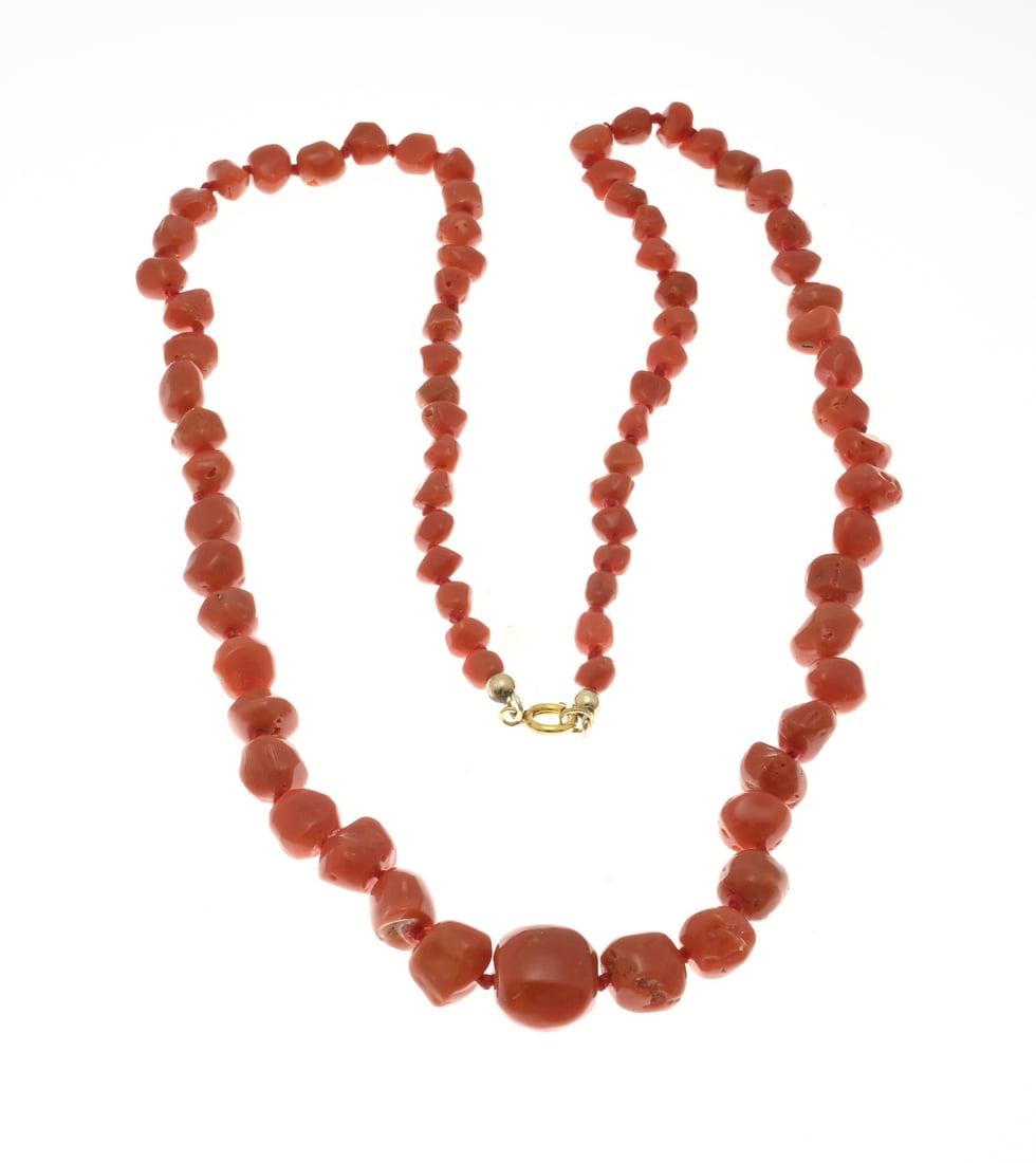 Blood coral necklace: Necklace with coarsely cut blood coral, 4-13 mm, attached to a double spring loop. Length 62 cm. Approx. 34.7 grams. In good condition.