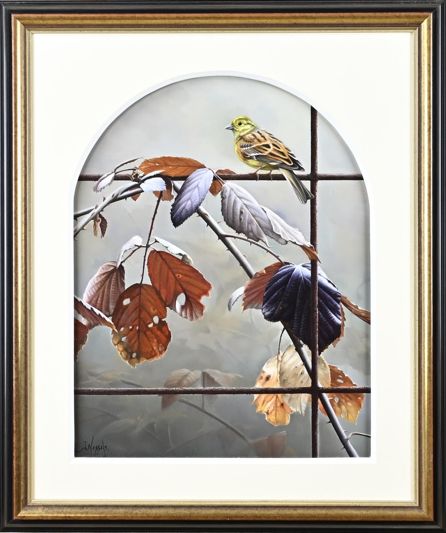 Jan Wessels, Yellow Bunting by grapevine (1 of 1)