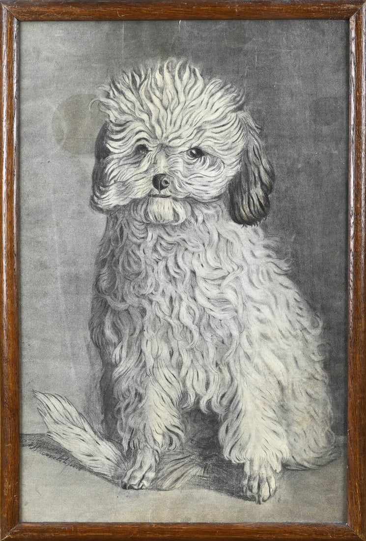 Unclearly signed, Dog: Indistinctly signed. 19th century. Pastel. Dog. Dimensions: H 49 x W 32 cm. In good condition.