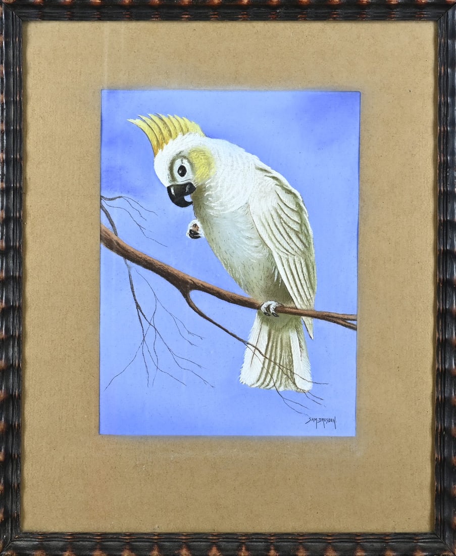 Sam Dresden, Cockatoo: Sam Dresden. Jewish artist. Circa 1930. Art Deco. Cockatoo on a branch. Pastel on paper. Dimensions: H 39 x W 30 cm. In good condition.