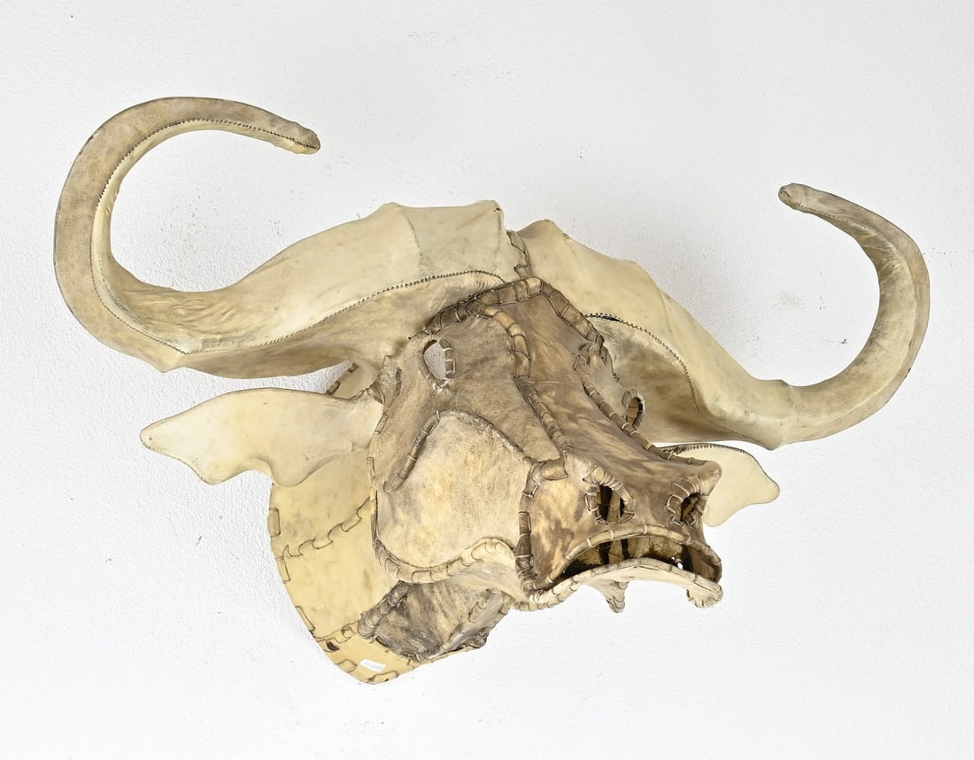 Leather buffalo: Unique leather buffalo head. 20th century. Dimensions: 91 x 54 x 57 cm. In good condition.