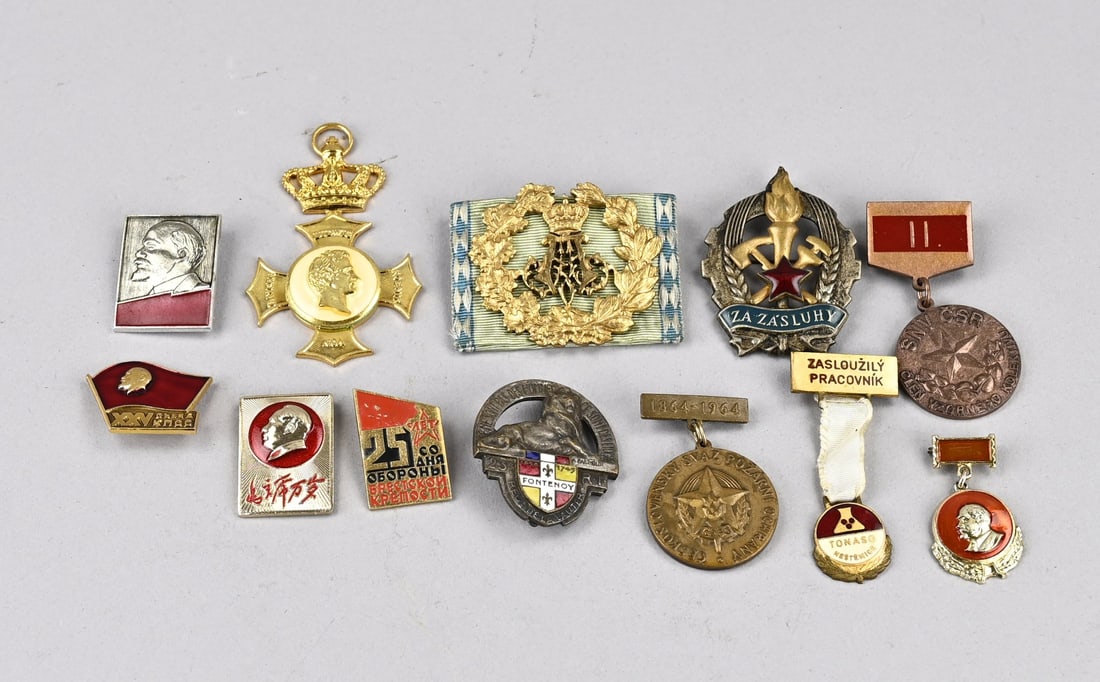 Lot pins: Lot of pins. Including militaria. China, Russia, France, etc. Size: 2 - 5.5 cm. In good condition.