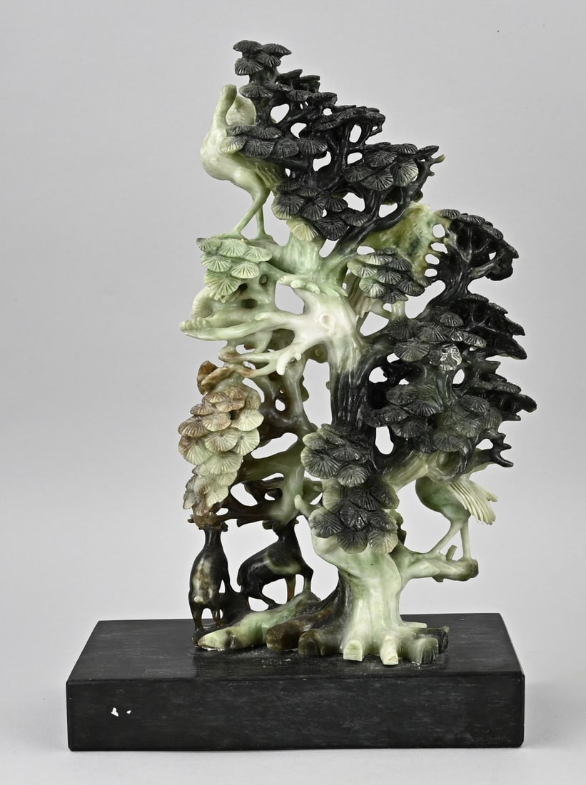 Chinese jade tree - 2