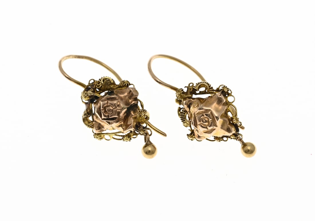 Gold regional earrings (1 of 1)
