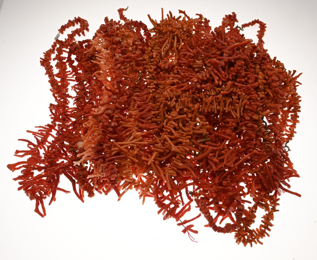 Lot of blood coral: Lot of red corals, approx. 22 strands with twig coral. Total approx. 900 grams. Size 3-40mm. In good condition.