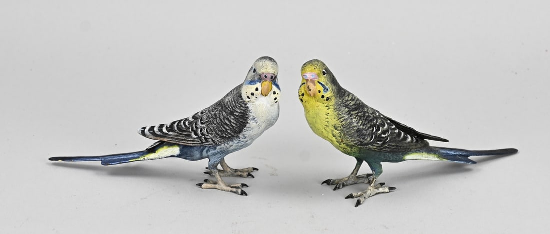 2x Viennese Bronze (parakeets) (1 of 3)