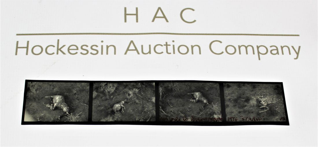 Peter Beard (American, b. 1938): Medium: Unique Silver gelatin photograph. Title: Ode to Rauschenberg (Elephants), 1976. Signature: Lower right corner. Dimensions 2 x 11.25 inches. Lot note and provenance: Collection of Patrick Eddin