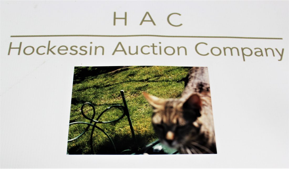 Peter Beard (American, b. 1938): Medium: Original Photograph (Cat). Dimensions: 4 x 6 inches. Lot note and provenance: Collection of Patrick Eddington. Mr. Eddington was a much-honored Salt Lake City, Utah art collector & teacher, wh