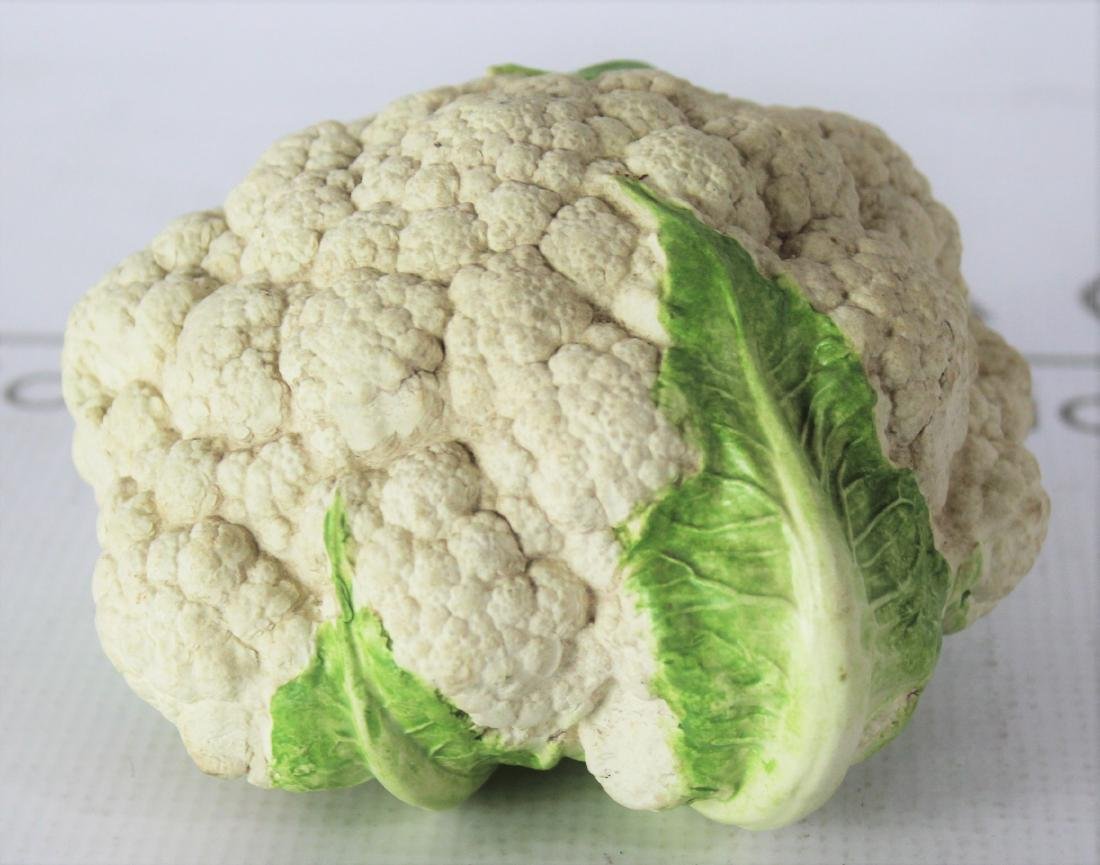 Mary Kirk Kelley (American, 1918-2013): Medium: Porcelain. Title: Cauliflower head. Signature: On bottom. Dimensions: 5.5 x 3 inches.