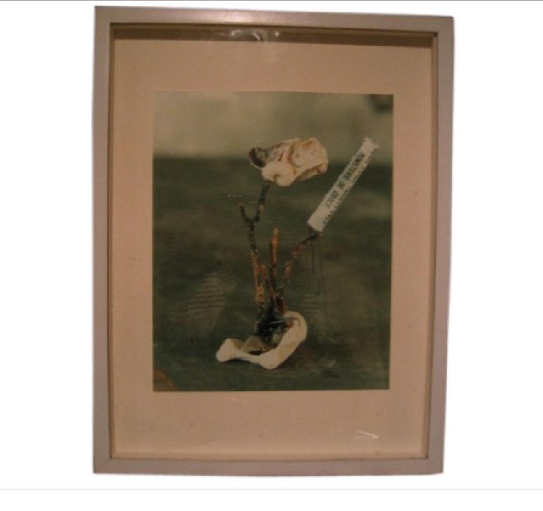 Photograph by David Seidner: A photograph of coral with a identification tag by world famous photographer David Seidner.