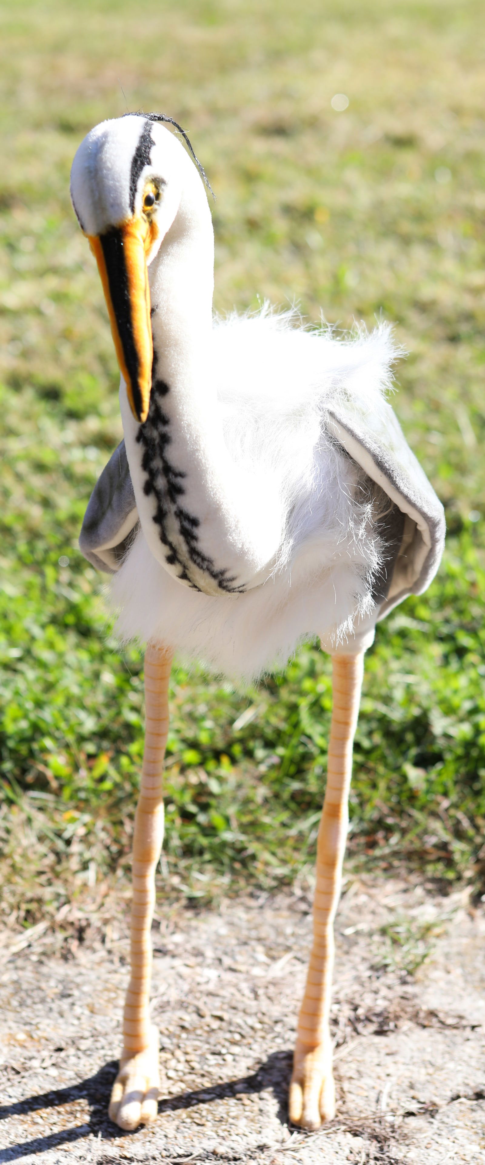 HANSA LIFE SIZE GREAT BLUE HERON PLUSH ANIMAL: #3231; standing Great Blue Heron; some soiling to feet; missing fabric tag; retains paper hang tag (not attached); H-25", L-23", G-VG
