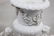 19 Century French Porcelain Planter. - 4