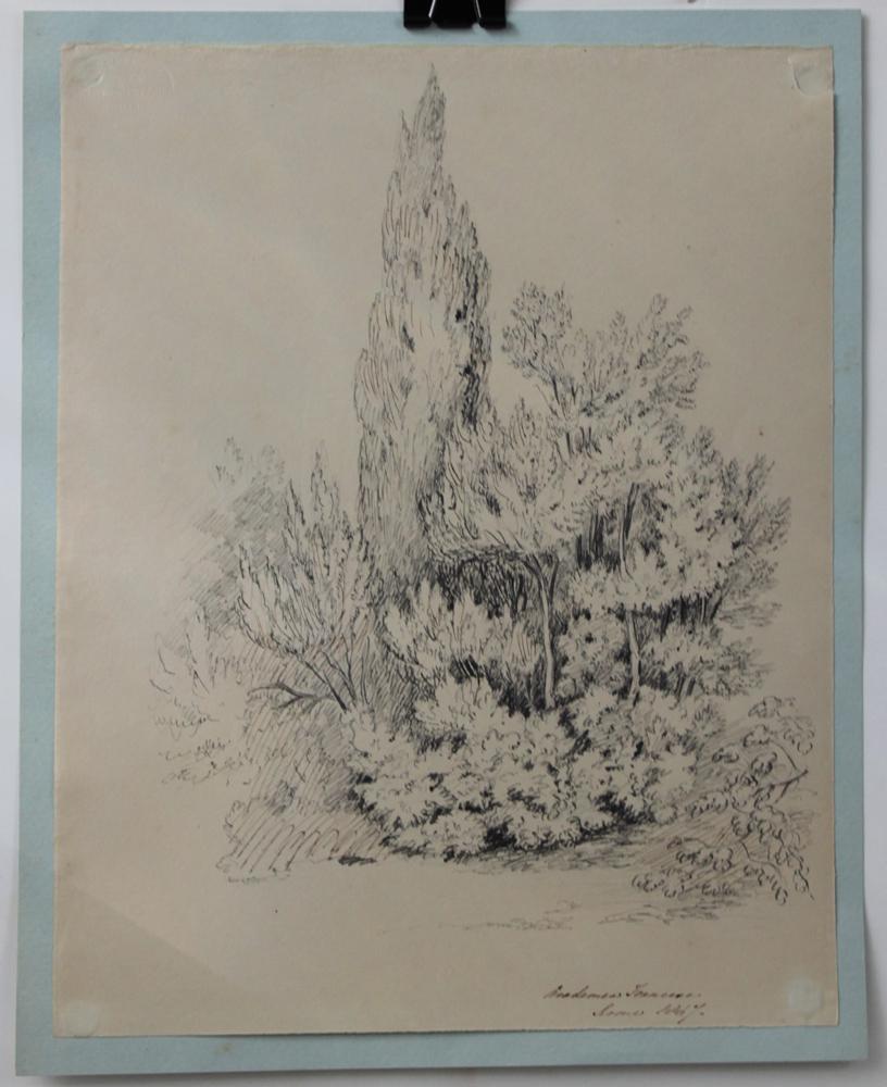 Engraving Landscape Drawing signed (1 of 4)