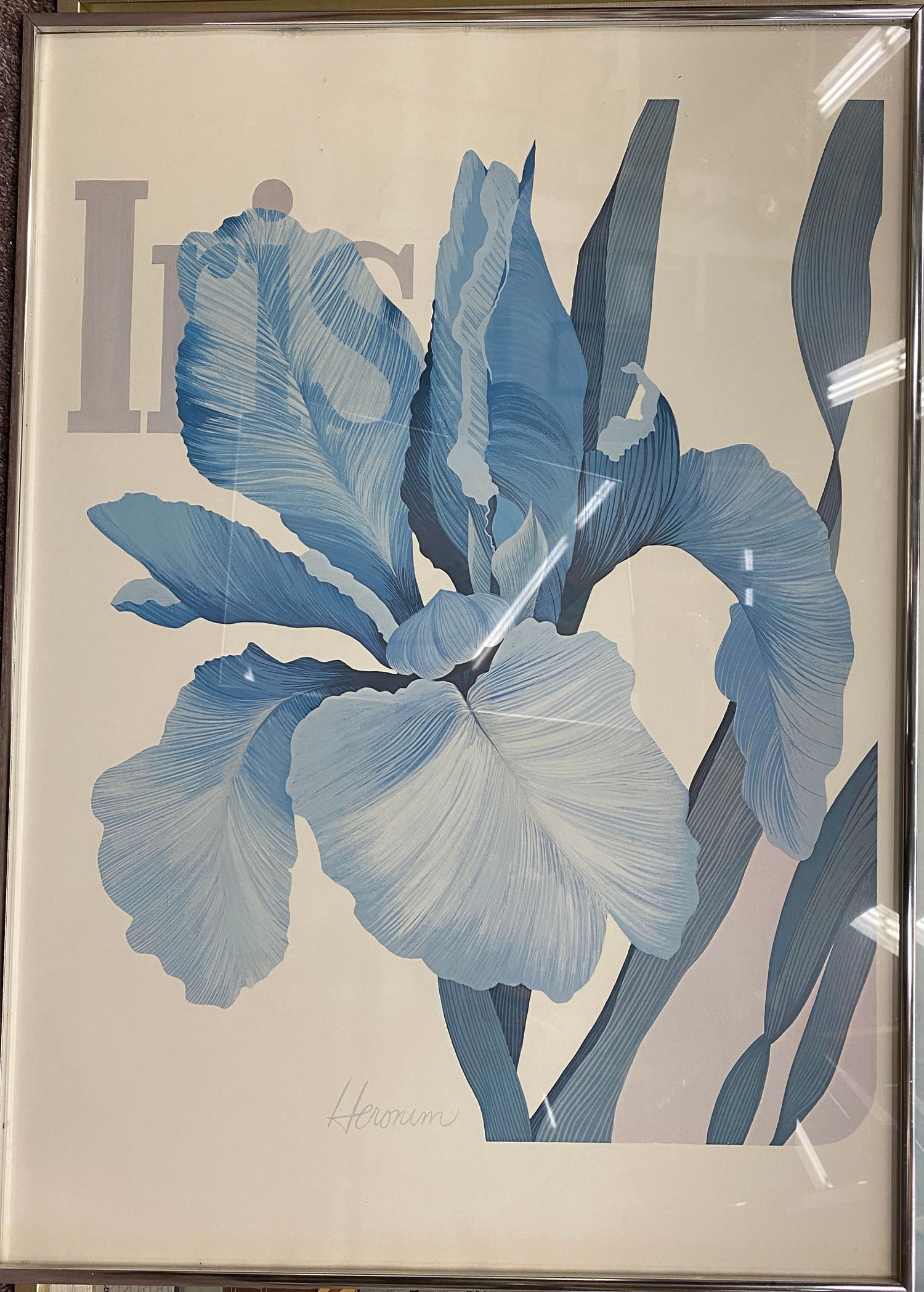 Heronim "Iris" - Large Signed Botanical Print: Heronim "Iris" - Large Signed Botanical Print Plate-signed lower left Color print on paper Size: 28 1/2 x 22 1/2 in. (72.4 x 57.2 cm) Striking botanical print of a blue iris by Heronim, known for his