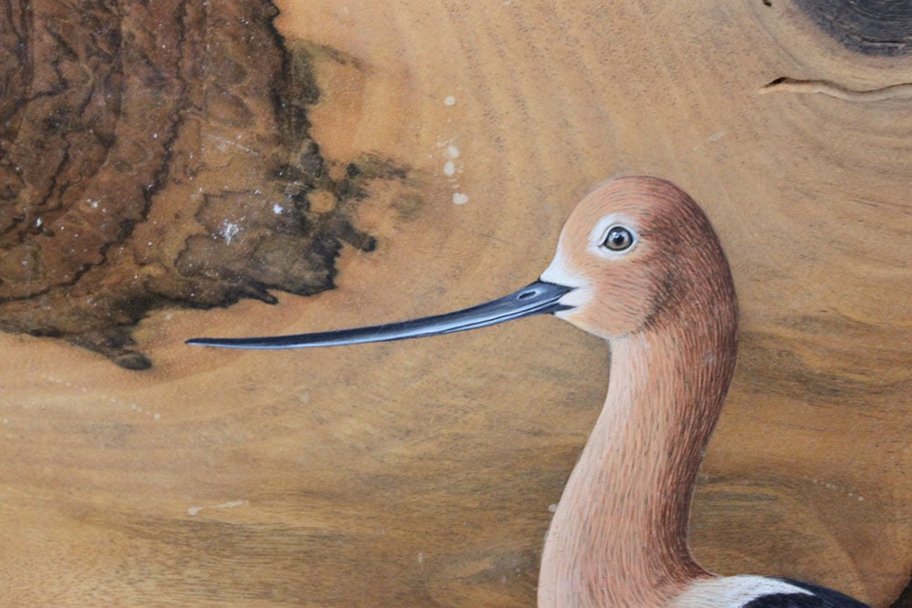 Live Edge Figured Walnut Wall Panel - 4