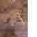 item-113495611=4