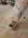 item-128336016=7