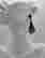 item-128336462=2