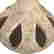 item-131546134=4