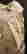 item-131546268=7