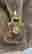 item-133852310=6