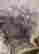 item-136337502=8