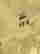 item-136337609=4