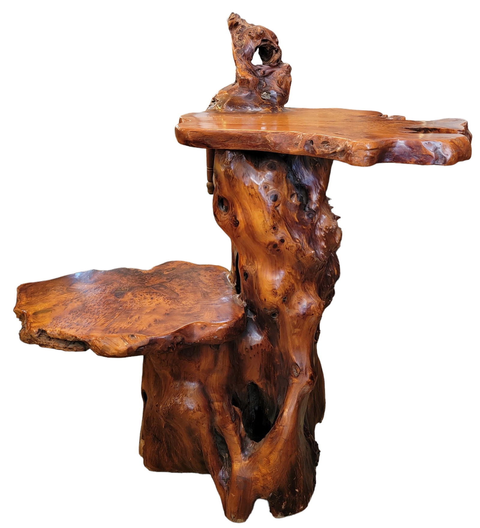 Freeform Root Wood Slab Pedestal Stand (1 of 7)