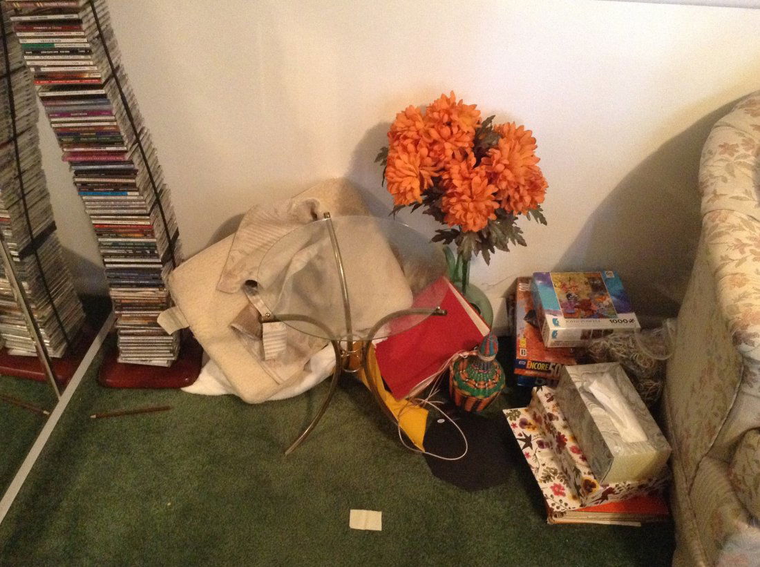 Contents of corner of living room (1 of 2)
