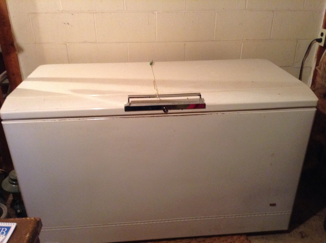 Sears small sale chest freezer