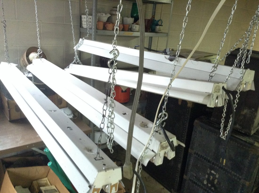 Fluorescent Lights: Fluorescent Lights: 8 working lights all 4 ft long as seen in photo