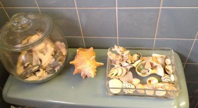 Seashells, Baskets Mirrors and More (1 of 3)