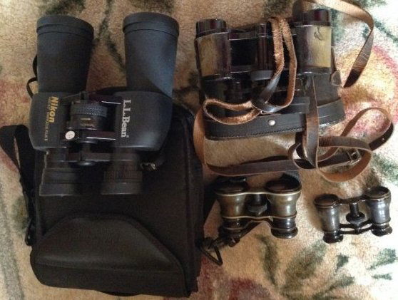 Binoculars Set of Four: Binoculars Set of Four; Nikon 7 x 50, la vista paris 8 power, Lemoire fabot paris unmarked brass pair.
