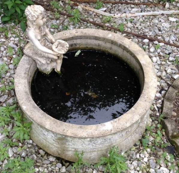 Lawn Water fountain: Lawn Water fountain: as seen in photo