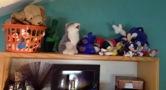 Hedge Hog and other stuffed animals: Hedge Hog and other stuffed animals - some with tags