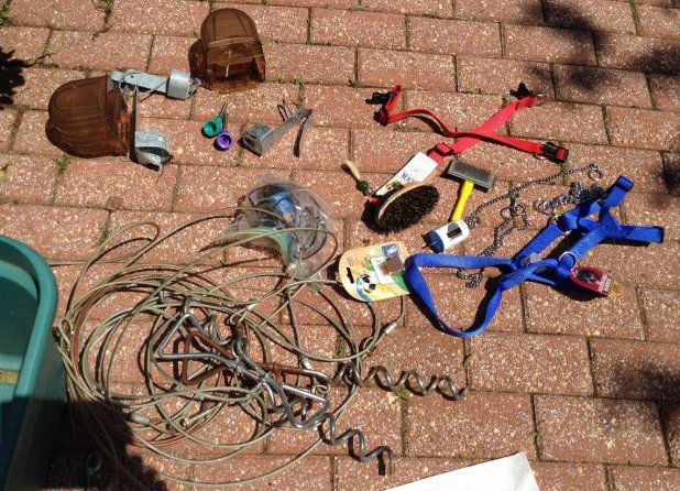 Lot of Pet supplies (1 of 1)