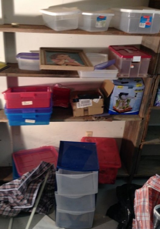 Shelf contents of plastic empty bins and a tetra 3 (1 of 1)