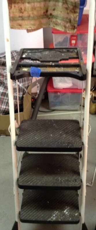 Step ladder: Step ladder