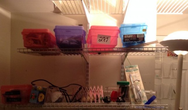 Contents Shelves (1 of 1)