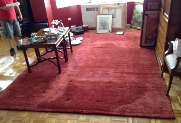 Area rug: Area rug: 9 x 12 (NO CONTENTS)