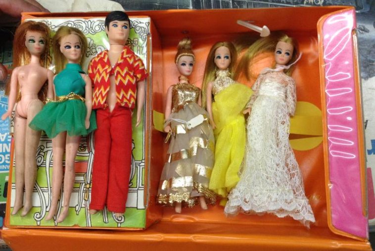 Dawn and her Friends Doll case with 6 Dolls (1 of 1)