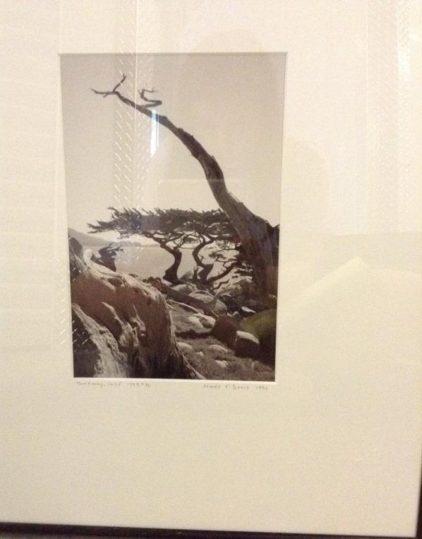 Black and White Print James F. Donis 1996 Monterey,: Black and White Print James F. Donis 1996 Monterey, California 1995 #31 16 x 20