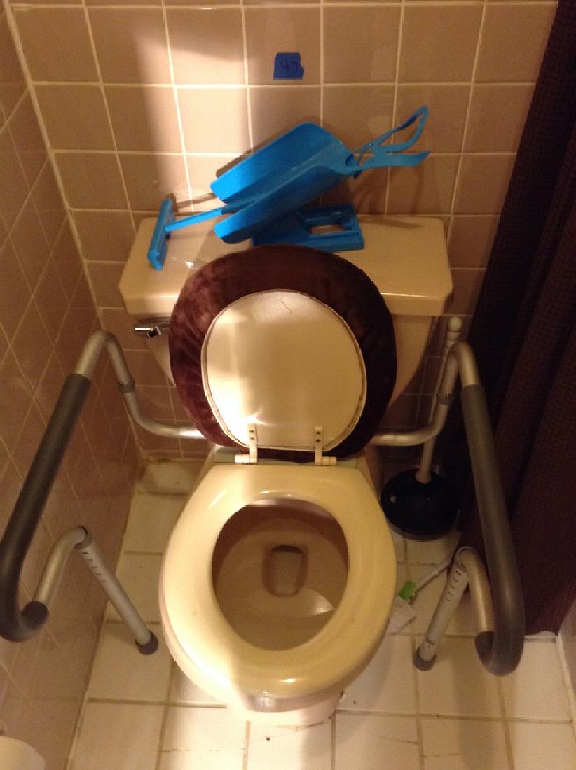 Handicap Toilet Handles: Handicap Toilet Handles