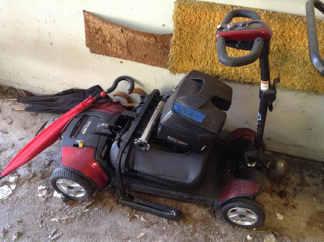 Electric Scooter (1 of 1)