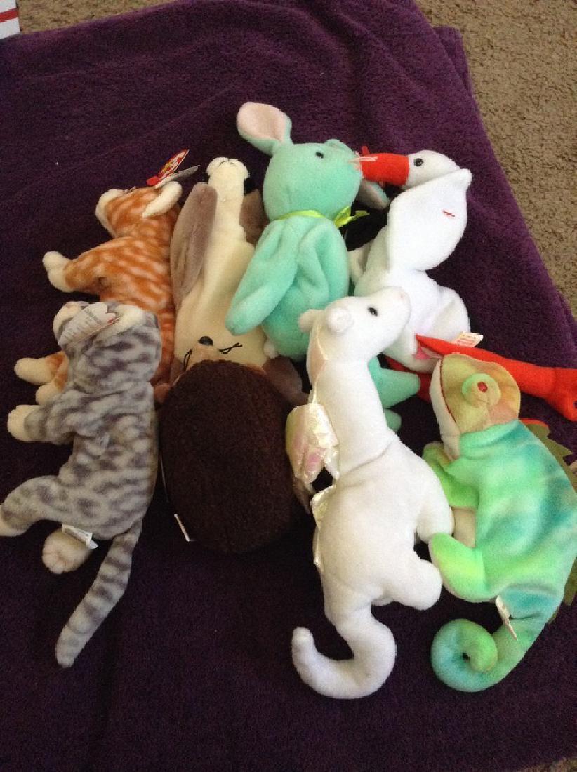 Lot of 8 Beanie Babies: Lot of 8 Beanie Babies