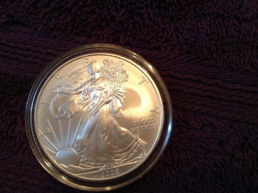 2008 Standing Liberty Proof Dollar (1 of 1)